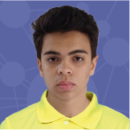 Vinícius Ceolin Martins Braga Vinícius Ceolin Martins Braga